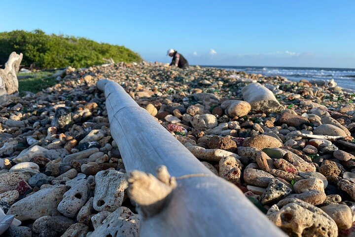 Privato Sea Glass Island Kayak Mattina + trasferimento