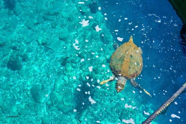 Hoteller i nærheten av Marmaris Dalyan Turtle Beach Tour