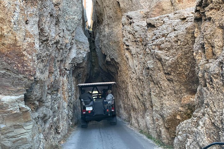 La seule journée complète - Safari bison en jeep - Déjeuner pique-nique au bord du lac