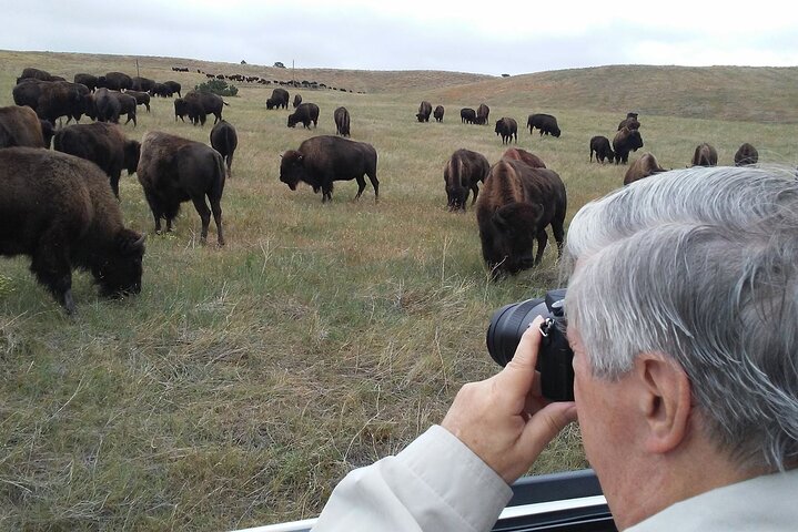 La seule journée complète - Safari bison en jeep - Déjeuner pique-nique au bord du lac