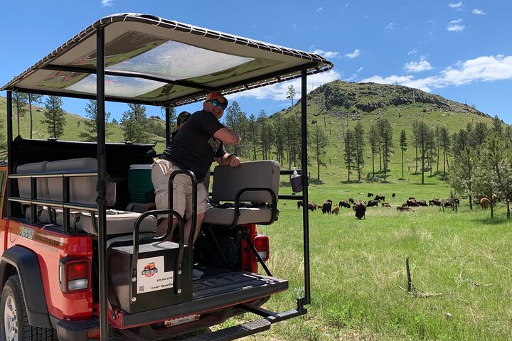 La seule journée complète - Safari bison en jeep - Déjeuner pique-nique au bord du lac