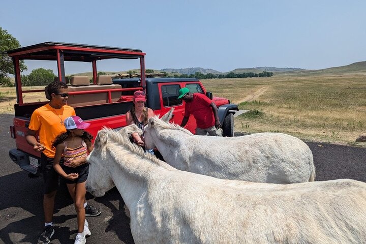 La seule journée complète - Safari bison en jeep - Déjeuner pique-nique au bord du lac