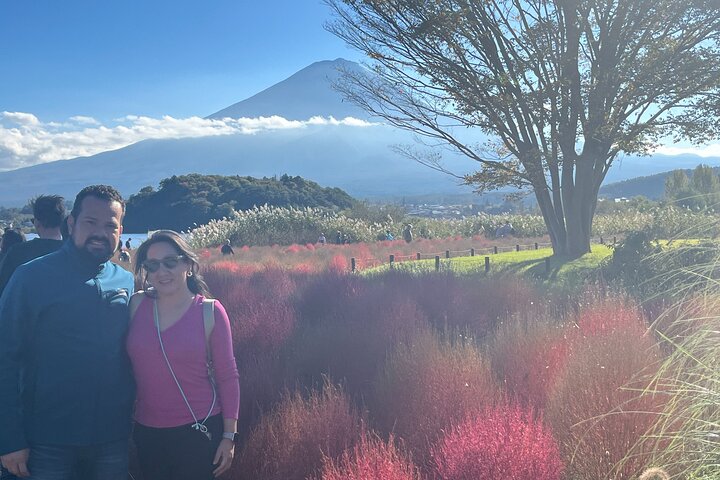 Private Fuji Halbtages-Autotour mit Hotelabholung und Ortskundiger Reiseleiter