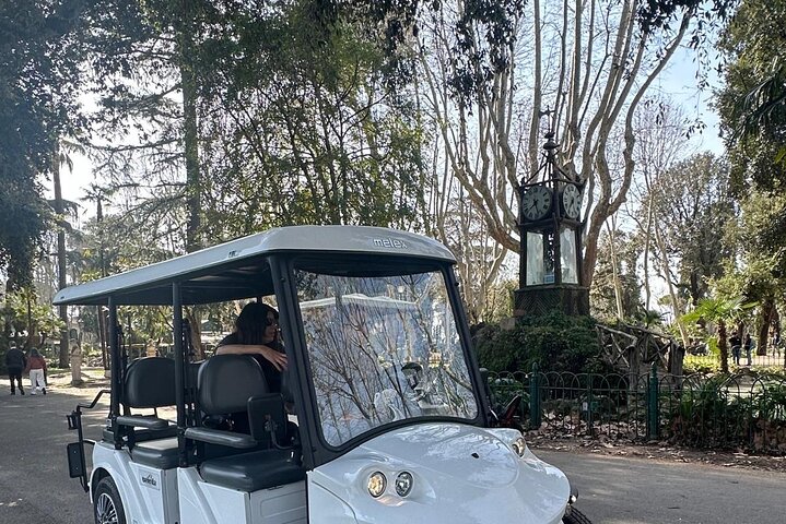 Tur til Villa Borghese, afhentning på hotellet, personlig tid