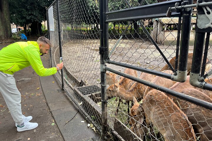 Excursão privada de meio dia de carro em Hakone com remessa do hotel - Guia local