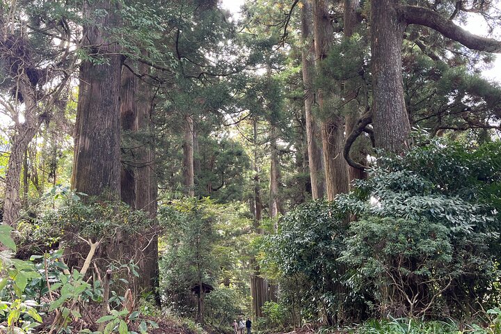 Excursão privada de meio dia de carro em Hakone com remessa do hotel - Guia local