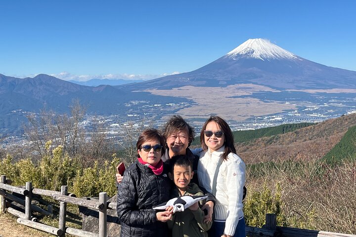 Excursão privada de meio dia de carro em Hakone com remessa do hotel - Guia local