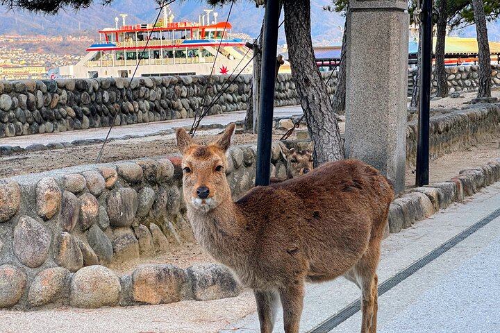Tour en autobús de 1 día por Hiroshima y Miyajima