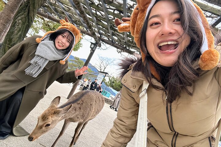 Tour en autobús de 1 día por Hiroshima y Miyajima
