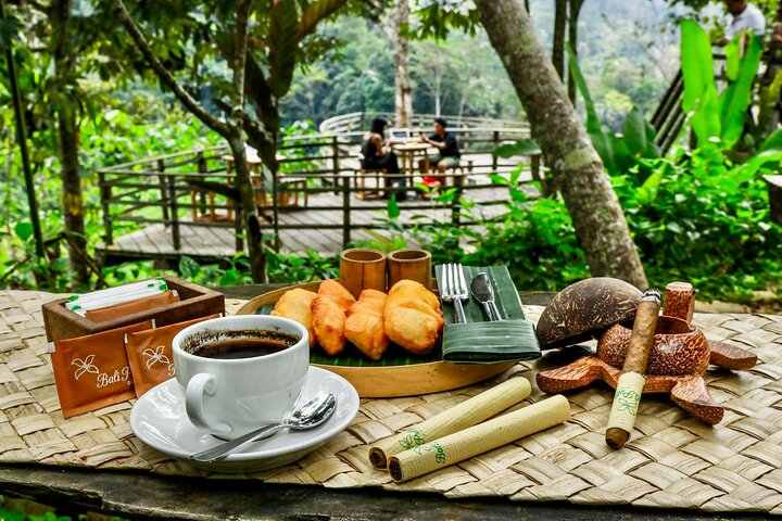 Ubud : All-inclusive privétour met waterval, tempel en rijstterras