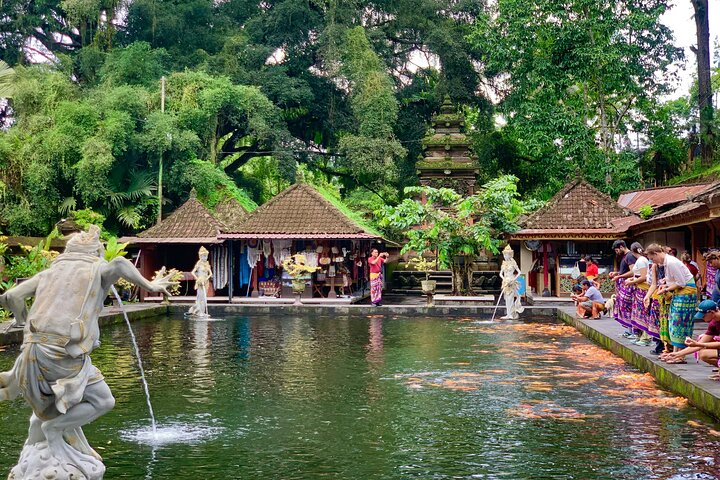 Ubud : All-inclusive privétour met waterval, tempel en rijstterras