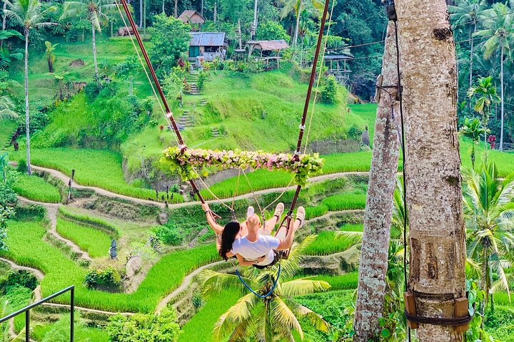 Ubud : All-inclusive privétour met waterval, tempel en rijstterras
