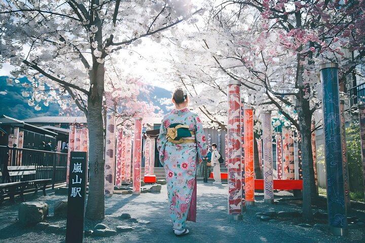 Från Kyoto / Osaka : Kyoto måste-se platser och Nara Park Endagstur