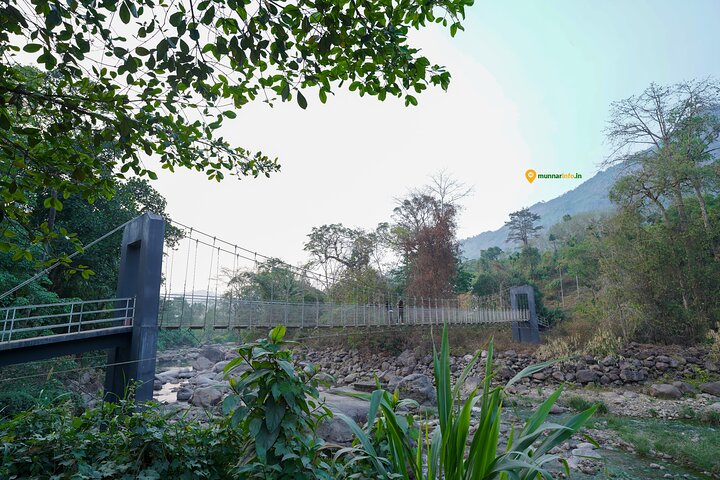 Visita guiada por la vida de Anakulam Wild Elephant Village (Por Munnar Info)