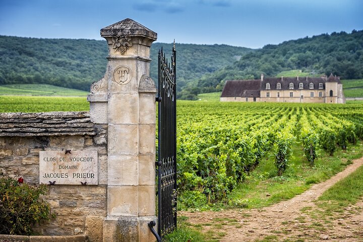 Eintägiger privater Hin- und Rücktransfer nach Burgund von Paris