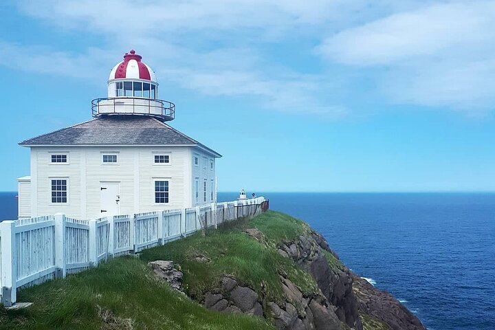 Utforska St. John's Scenic Bus Tour till Cape Spear och Quidi Vidi