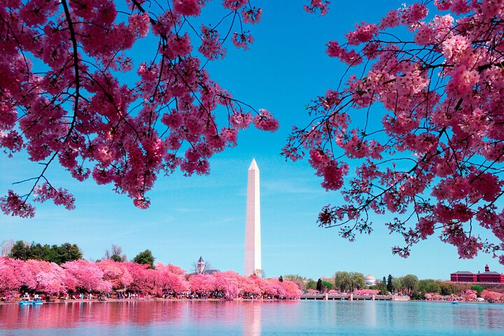 DC en un día : 10 + Monumentos, Crucero en barco, National Mall, Entradas