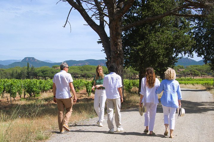 En dag i Provences vinmarker med udtjekning fra Fréjus.