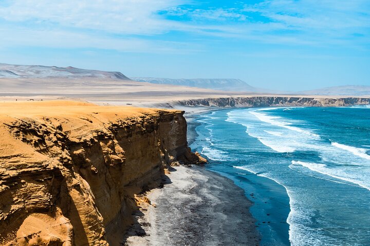 Paracas National Reserve: Privat strandtur från Pisco 3 timmar