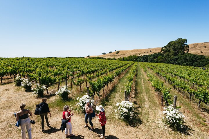 Napa en Sonoma Wine Country dagtour vanuit San Francisco