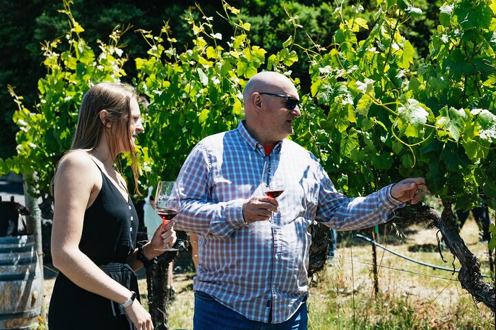 Napa en Sonoma Wine Country dagtour vanuit San Francisco