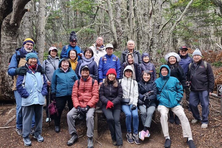 Reserva Nacional Magallanes y Tour por la ciudad de Punta Arenas