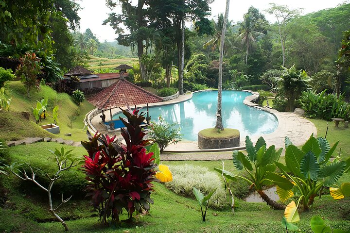 Tour privado de día completo: descubra lo mejor del destino de Bali