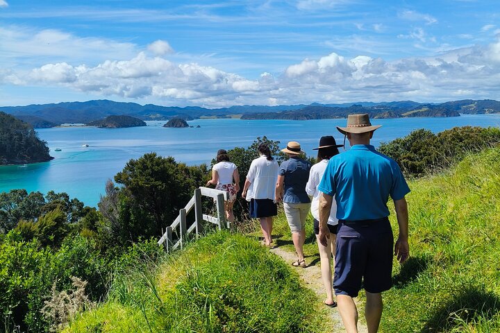 Day Sailing Cruise in Bay of Islands with Lunch & Island Stop