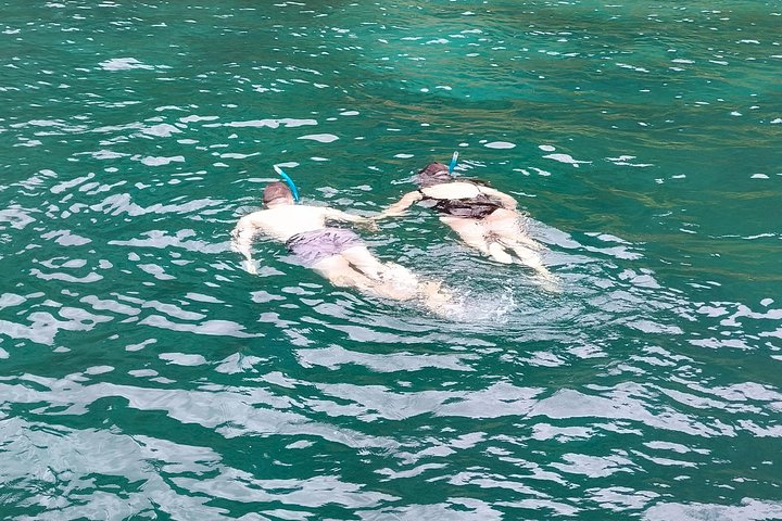 Day Sailing Cruise in Bay of Islands with Lunch & Island Stop