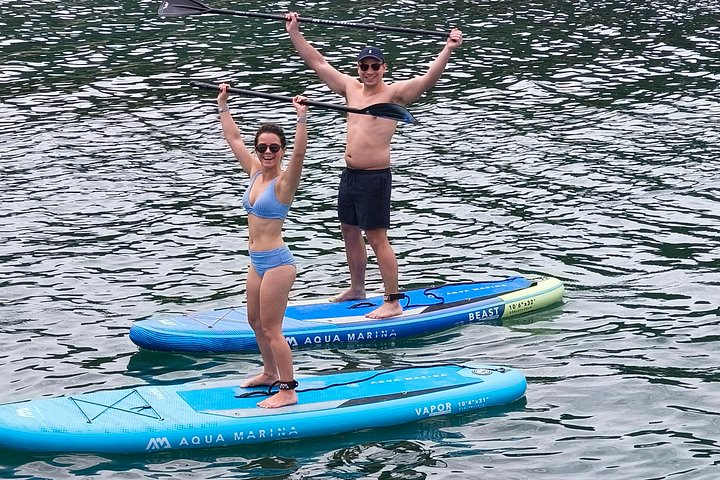 Day Sailing Cruise in Bay of Islands with Lunch & Island Stop