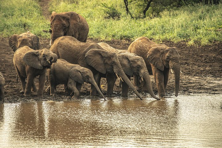 3 - Jours Serengeti & Ngorongoro Crater Safari Big Five Experience