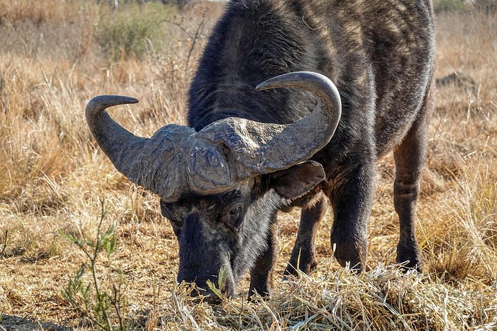 3 - Jours Serengeti & Ngorongoro Crater Safari Big Five Experience