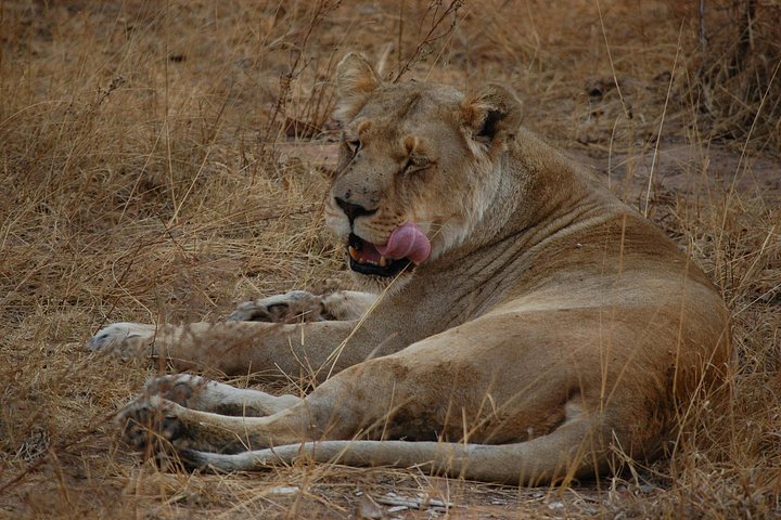 3 - Jours Serengeti & Ngorongoro Crater Safari Big Five Experience