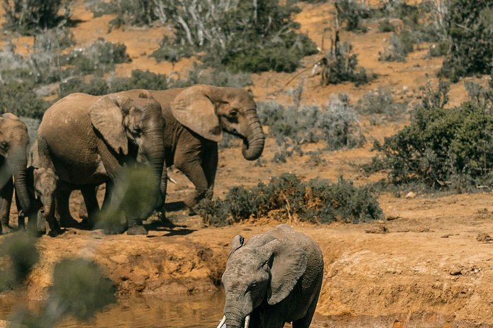 3 - Jours Serengeti & Ngorongoro Crater Safari Big Five Experience