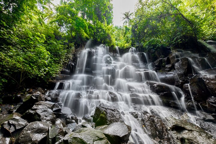 Ubud : All-inclusive privétour met waterval, tempel en rijstterras
