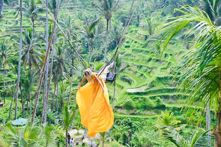 Ubud : All-inclusive privétour met waterval, tempel en rijstterras