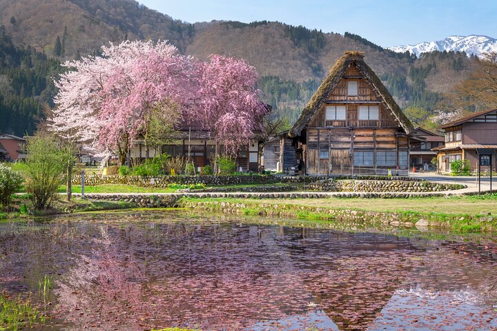 Gujo, Hida Takayama og Shirakawa-go-dagstur fra Nagoya