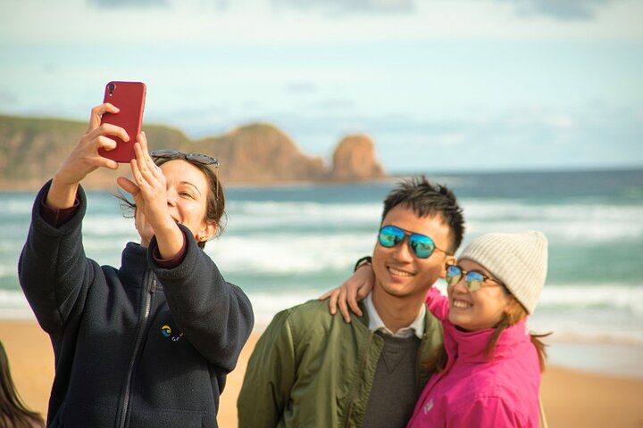 Excursion d'une journée à Phillip Island Penguins & Wildlife au départ de Melbourne