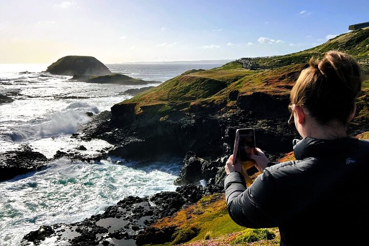 Excursion d'une journée à Phillip Island Penguins & Wildlife au départ de Melbourne