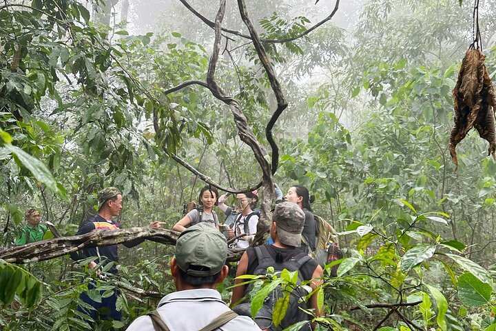 Nam Ha Ultimate Wilderness : De 5-daagse Etnische & Jungle Expeditie