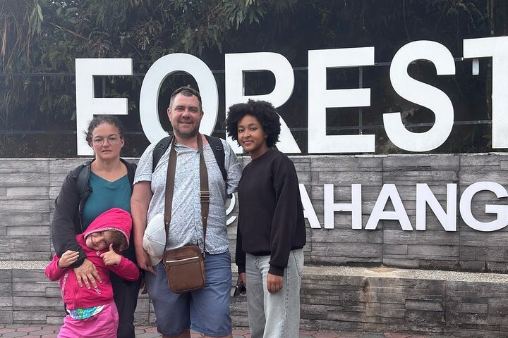 Excursion d'une journée à Cameron Highlands au départ d'Ipoh avec déjeuner et forêt moussue