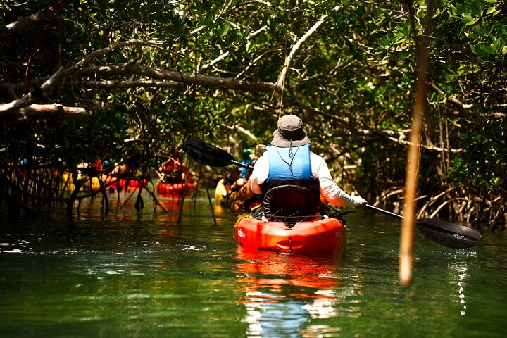 Key West Sandbar Charter met kajaktour: inclusief lunch en drankjes