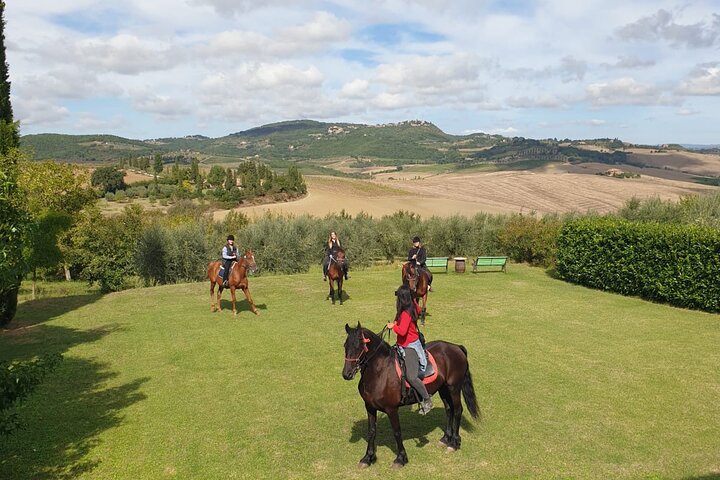 Passeio a cavalo pelos vinhedos em Montepulciano, Toscana