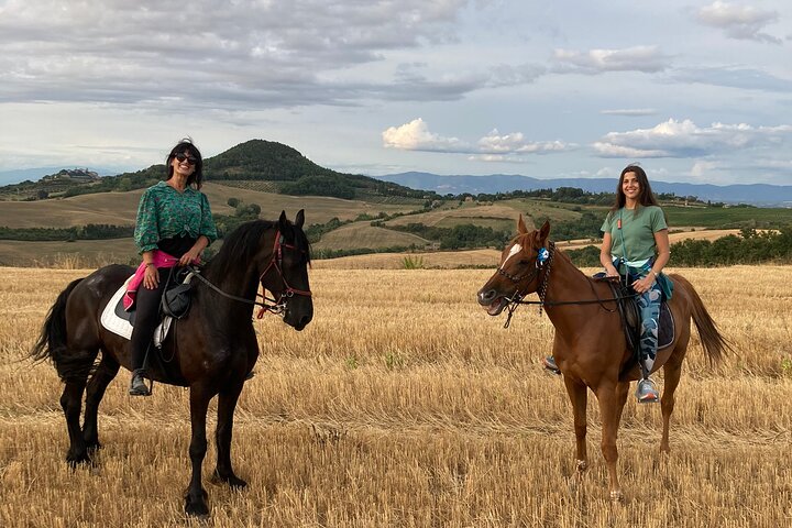 Passeio a cavalo pelos vinhedos em Montepulciano, Toscana