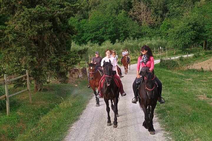 Passeio a cavalo pelos vinhedos em Montepulciano, Toscana
