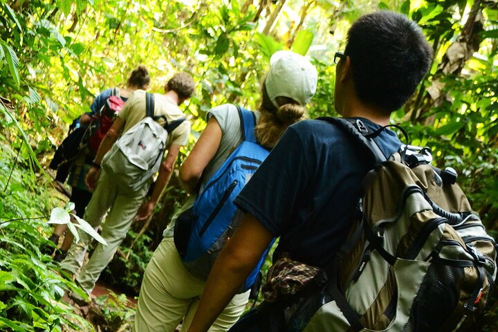 Bungalower och bambu spår: A 4 - Day Luang Namtha Cultural Retreat