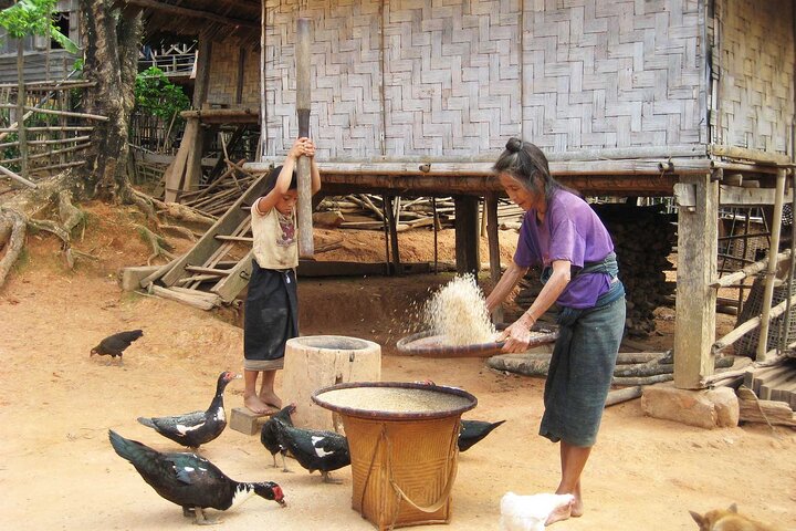 Bungalower och bambu spår: A 4 - Day Luang Namtha Cultural Retreat