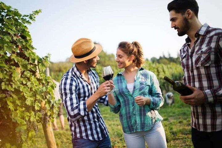 Visite du village des marins et du vignoble, dégustation de vin - Excursion d'une demi-journée