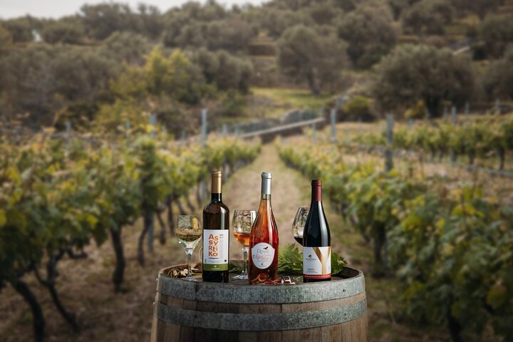 Visite du village des marins et du vignoble, dégustation de vin - Excursion d'une demi-journée