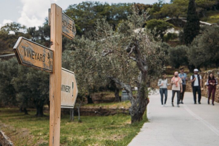 Visite du village des marins et du vignoble, dégustation de vin - Excursion d'une demi-journée